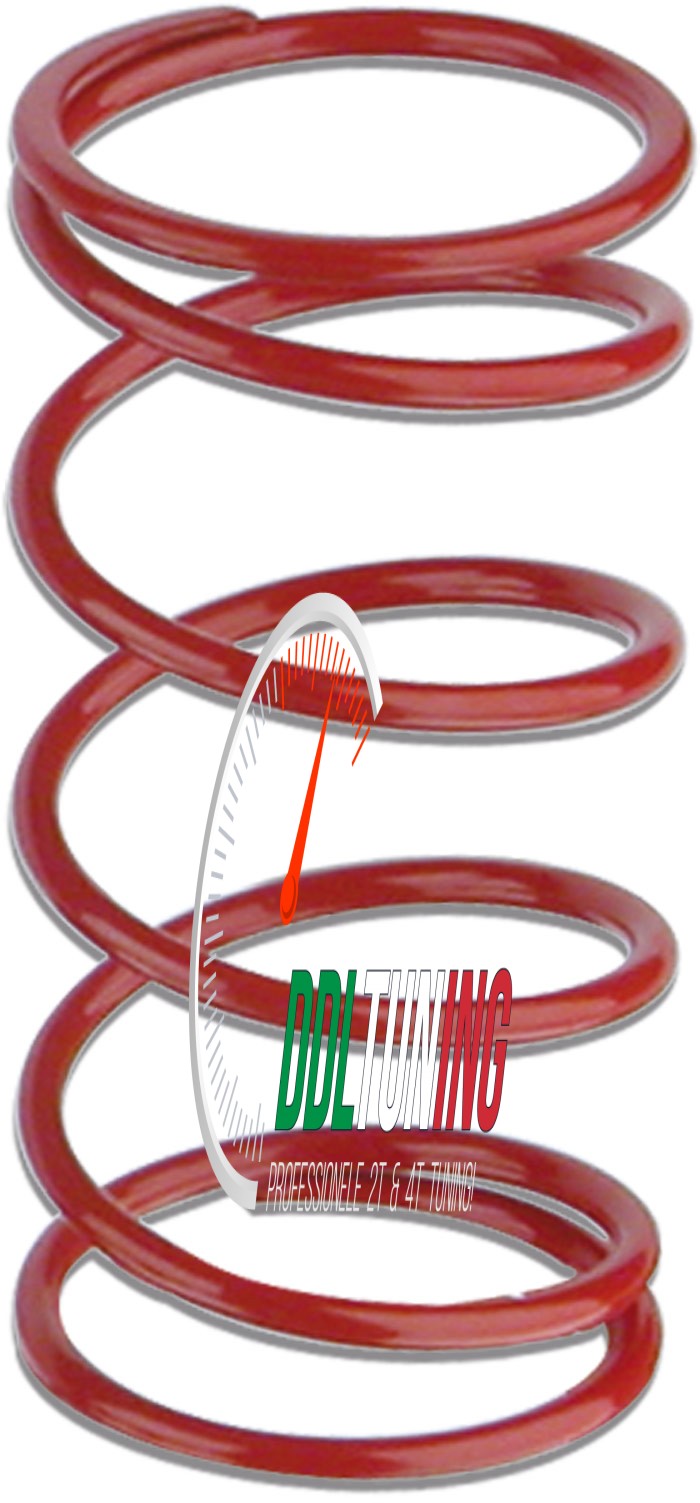 DRUKVEER MINARELLI HOR+VERT 4.1 ROOD MALOSSI 297046.R0