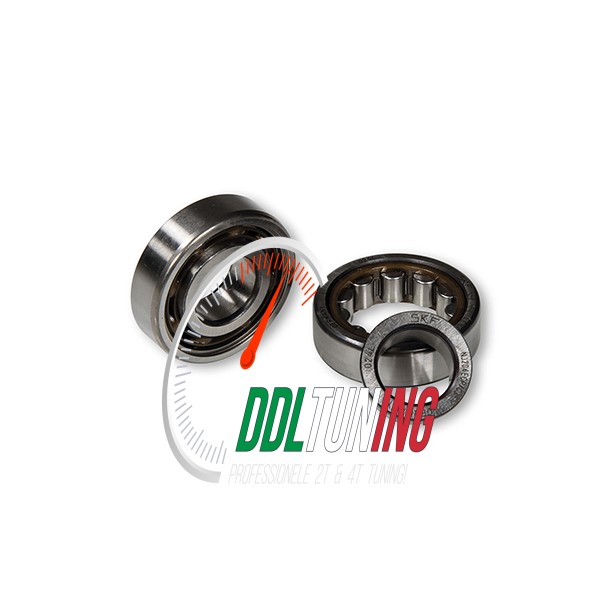 LAGER SET KRUKAS RC-ONE CARTER MALOSSI 6617154