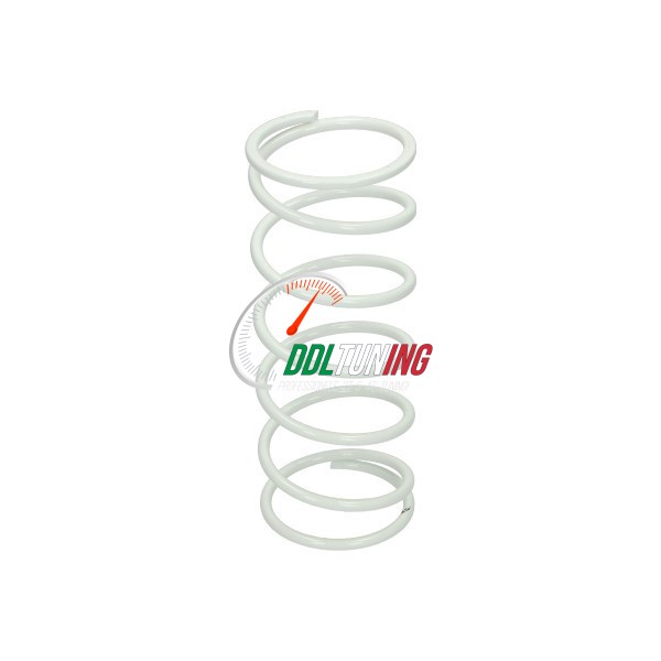 DRUKVEER RUNNER 125-180CC WIT MALOSSI 2911084.W0