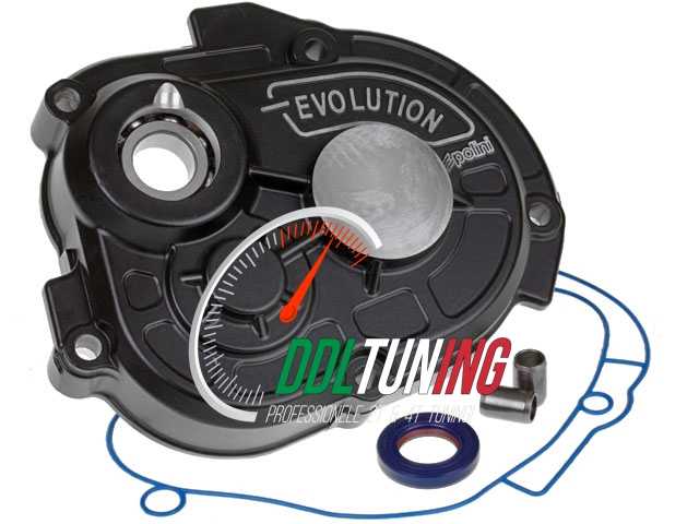 VERTANDINGSDEKSEL POLINI EVOLUTION PIAGGIO Ø12