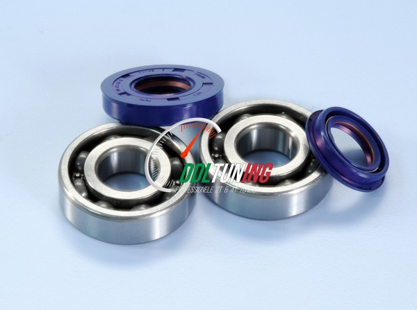 LAGER+KEERRINGSET MINARELLI HOR POLINI 282.0002