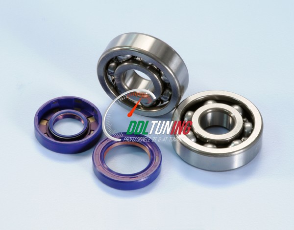 LAGER+KEERRINGSET MINARELLI AM6 POLINI 282.0003