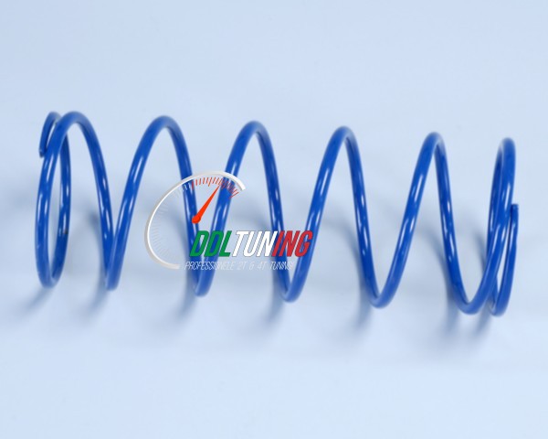 DRUKVEER -10% RUNNER 125-180CC 2T BLAUW POLINI 243.081