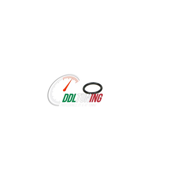 O-RING KOELPIJP PIAGGIO CARTER ORIG 289254