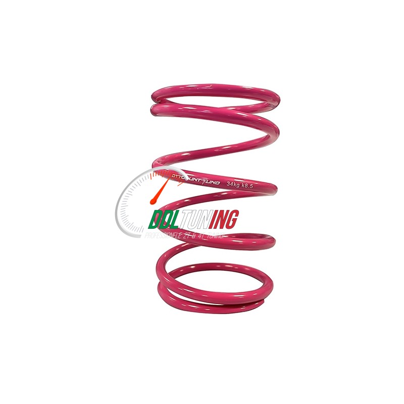 DRUKVEER 8.1 OTTOPUNTOUNO ROZE 34KG PIAGGIO 70-100CC